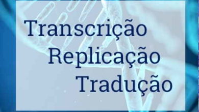 Photo of Transcrição, replicação e tradução (síntese de proteínas) – Resumo